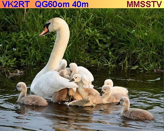 MMSSTV_Sent_2026-02-03-02