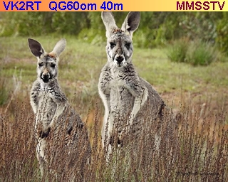 MMSSTV_Sent_2026-02-07-01